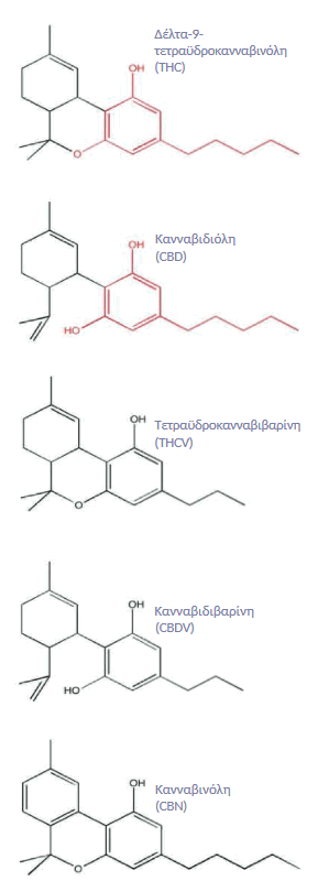 Σχήματα Πέντε Κανναβινοειδών_THC_CBD_THCV_CBDV_CBN